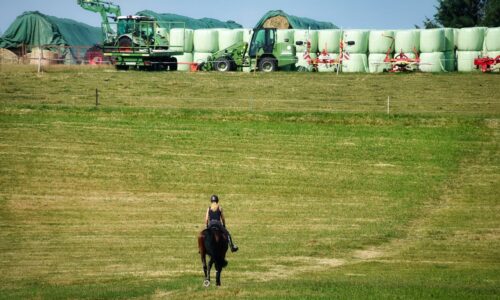 Stress in Farm Country and Resources for Responders